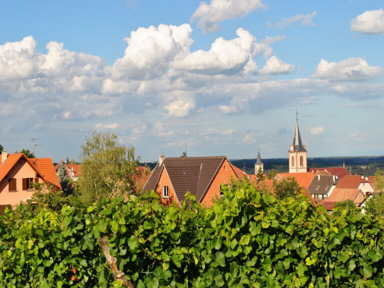 Weinregion Elsass: Grüne Weinreben, historisches Dorf und ein himmlischer Himmel - Entdecken Sie die Schätze des Elsass mit Vinvac