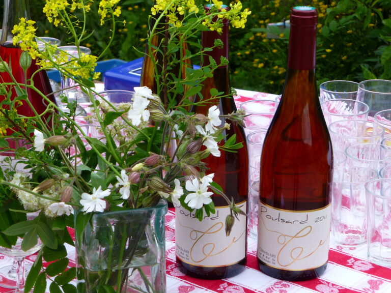 Sommerliches Flair im Garten mit Roséflaschen und Blumenvase - Entdecken Sie die Freude am Genuss mit Vinvac