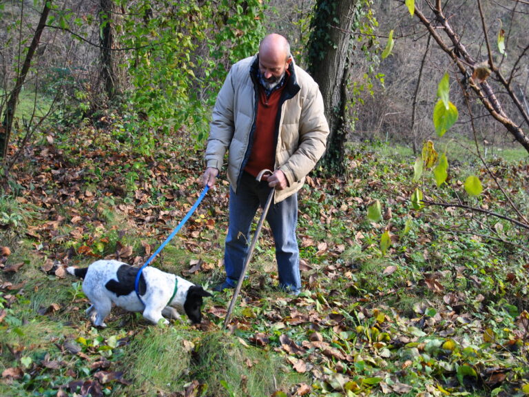 Geheimnisse des Piemonts: Trüffeljäger und Trüffelhund auf der Suche nach kostbaren Trüffeln - Entdecken Sie die verborgenen Schätze der Natur mit Vinvac