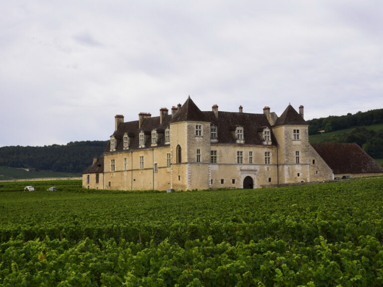 Erkunden Sie das Clos de Vougeot: Weinberge, Tradition und Genuss - Tauchen Sie ein in die Welt des Burgunderweins mit Vinvac!